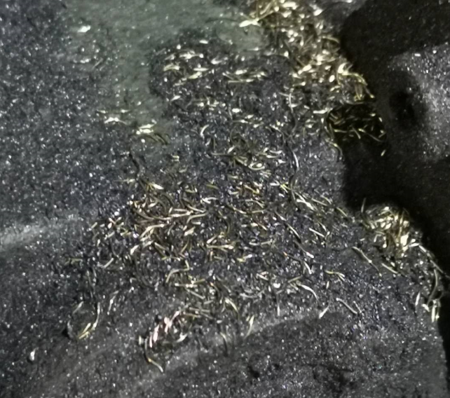 打磨平台含碳帶火花鐵絲巧用全自(zì)動脈衝(chōng)集塵器解決方案-1